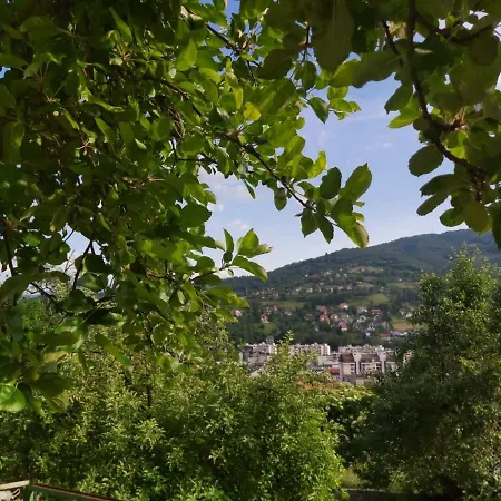 Ostanak kod kuće Mia